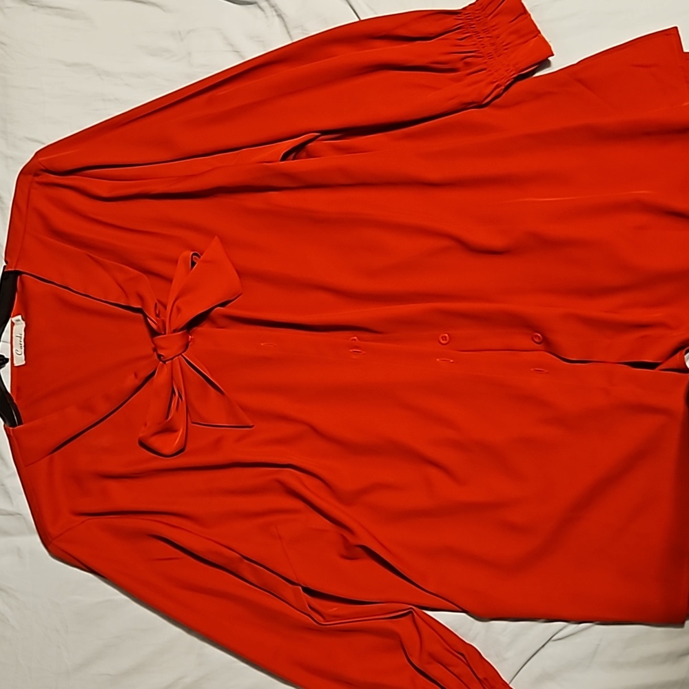 Long sleeved red carrdc dress shirt